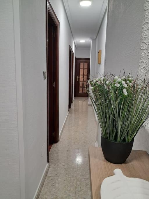 Alojamiento Comercio. Jaén Dış mekan fotoğraf